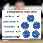 Hydratation - Zoom sur les électrolytes